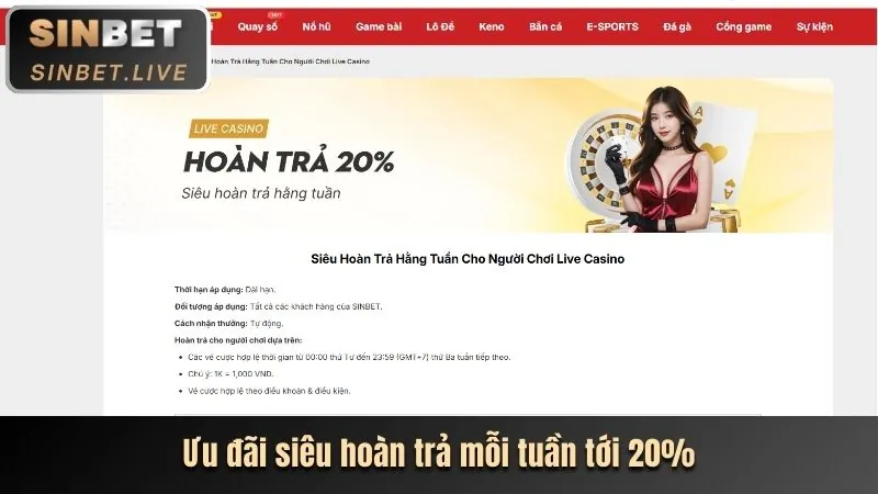 Hoàn trả hàng ngày XX8.run